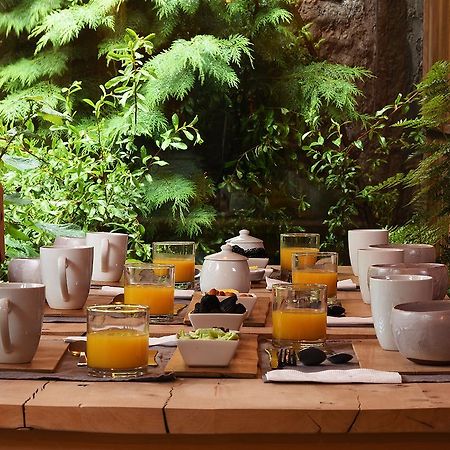 Raices Bed And Breakfast Coyhaique Exteriör bild