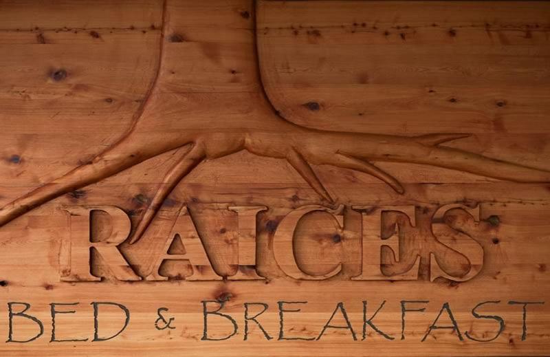 Raices Bed And Breakfast Coyhaique Exteriör bild