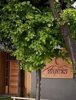 Raices Bed And Breakfast Coyhaique Exteriör bild