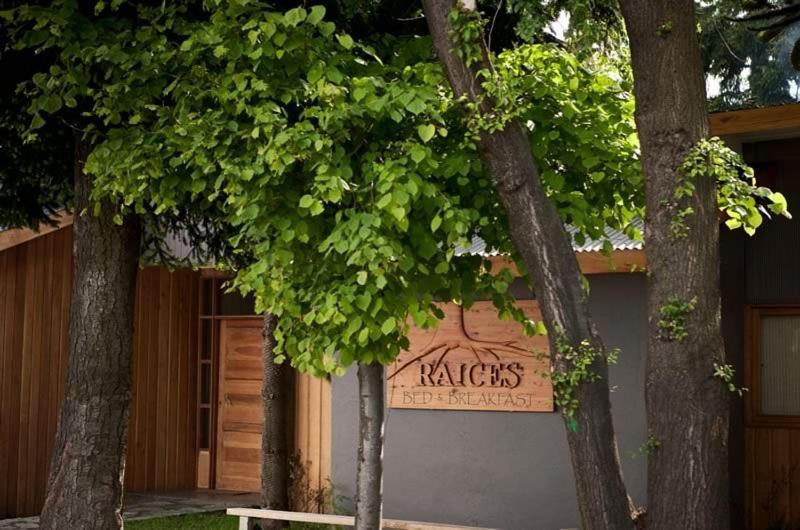 Raices Bed And Breakfast Coyhaique Exteriör bild